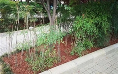 有機覆蓋物裝扮綠城鄭州